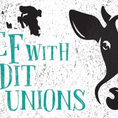 Why Don’t Credit Unions Tell Members How They Make Money?