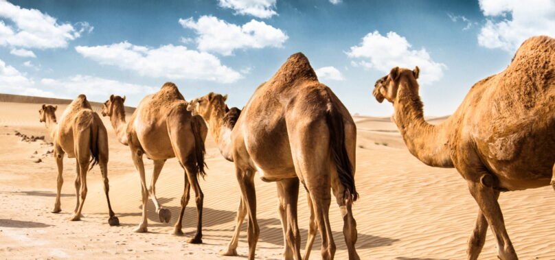 America’s Credit Unions Argues for Updated CAMELS System