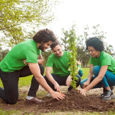 Credit Unions and Community: The Importance of Volunteering