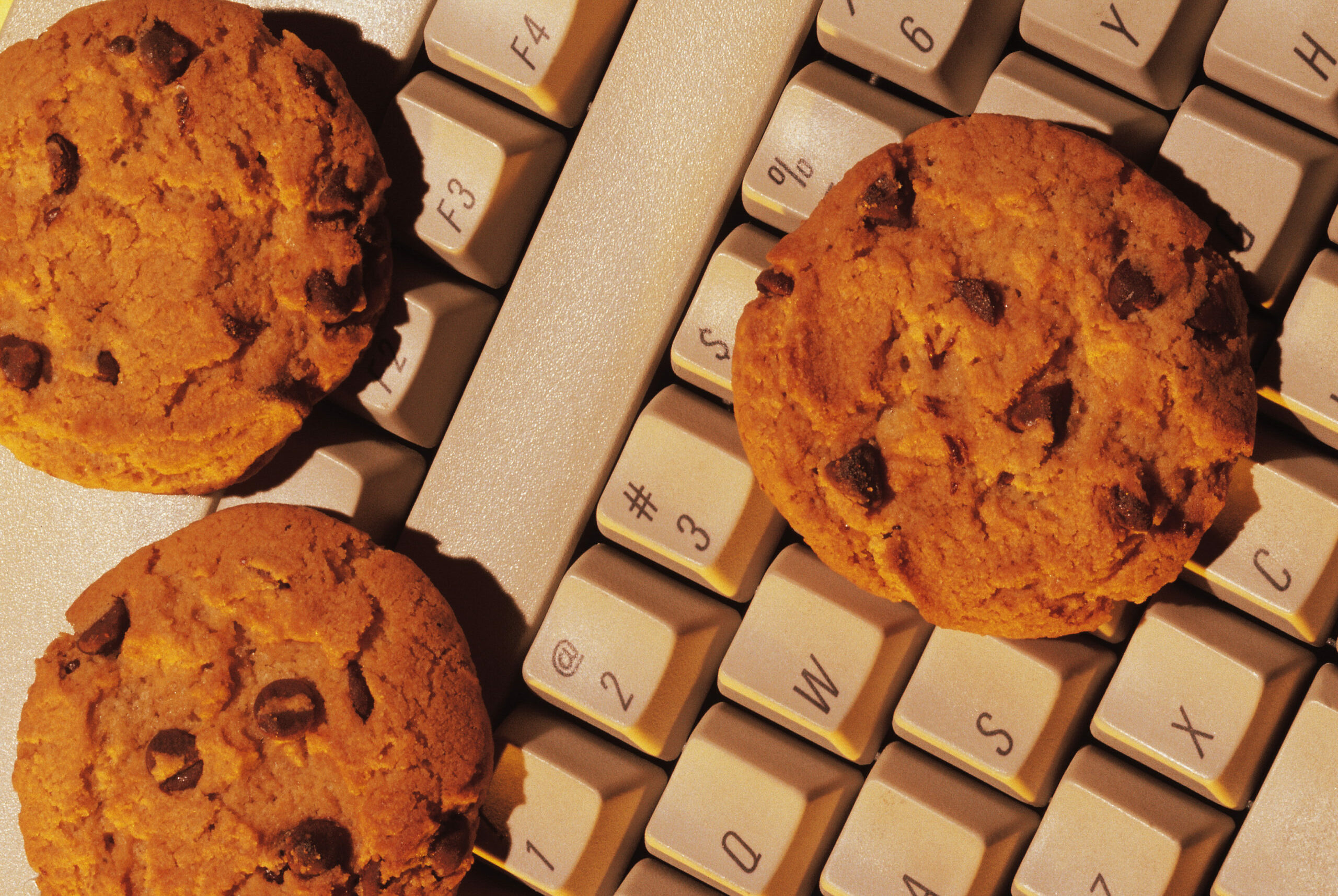 If You Give a Computer a Cookie CUSO Magazine