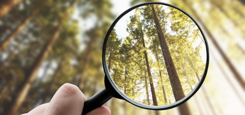 The Visibility Gap: Why Transparency is the New Bedrock of CU Capital Partner Confidence
