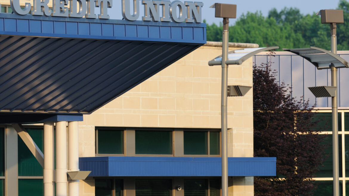 What Exactly is a Corporate Credit Union?