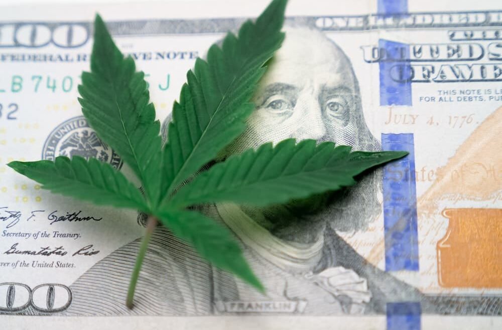 Marijuana Businesses Sue to Gain Access to Financial Services