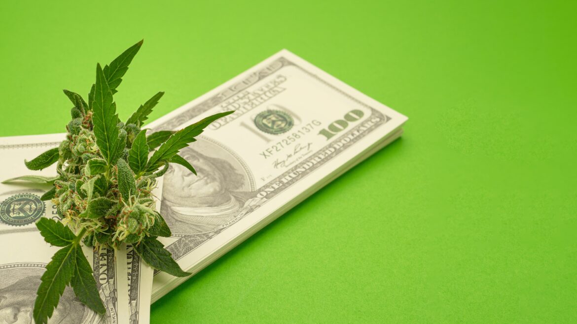 Credit Unions and the Underserved: Cannabis Businesses