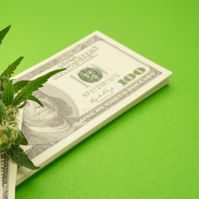 Credit Unions and the Underserved: Cannabis Businesses