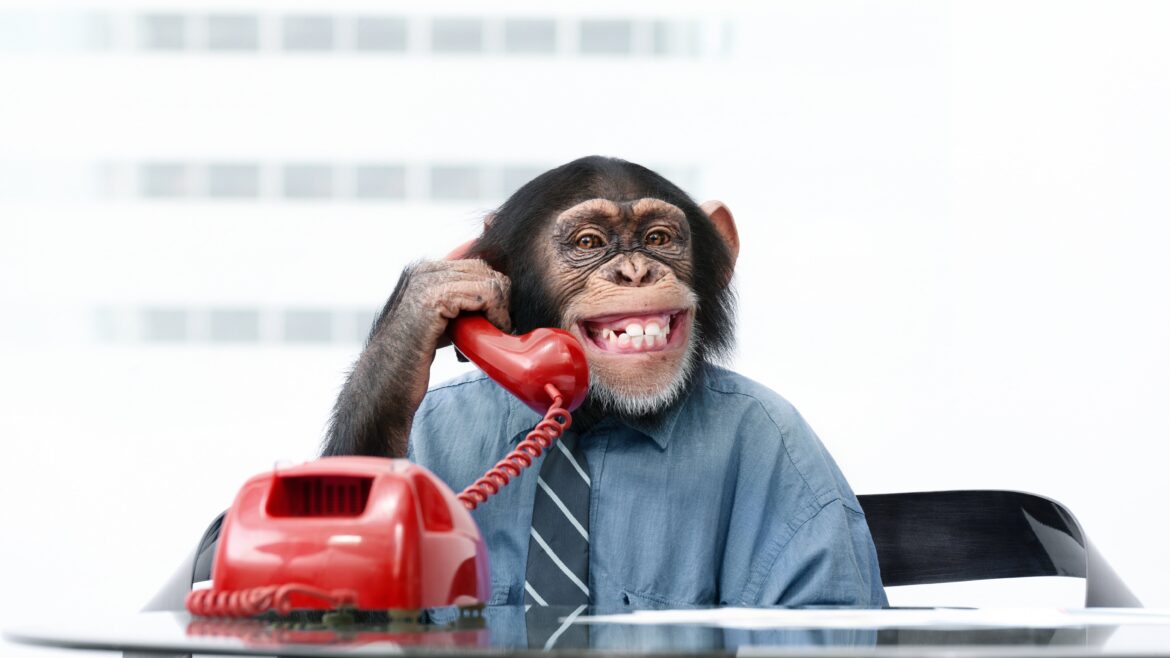 Managers: This Is Your Circus and These Are Your Monkeys