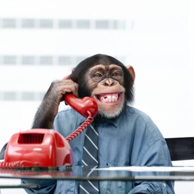 Managers: This Is Your Circus and These Are Your Monkeys