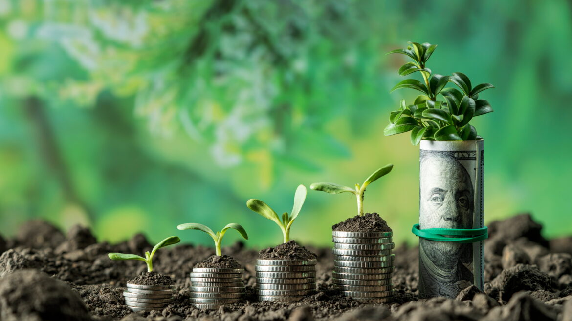 Financial Literacy Month: How Credit Unions Can Support The Journey to Financial Wellness