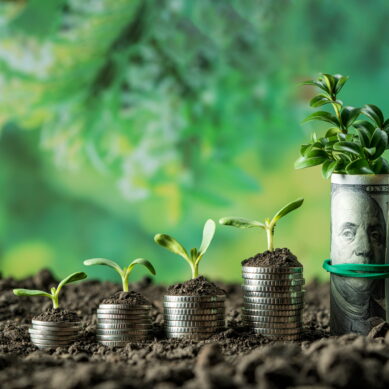 Financial Literacy Month: How Credit Unions Can Support The Journey to Financial Wellness