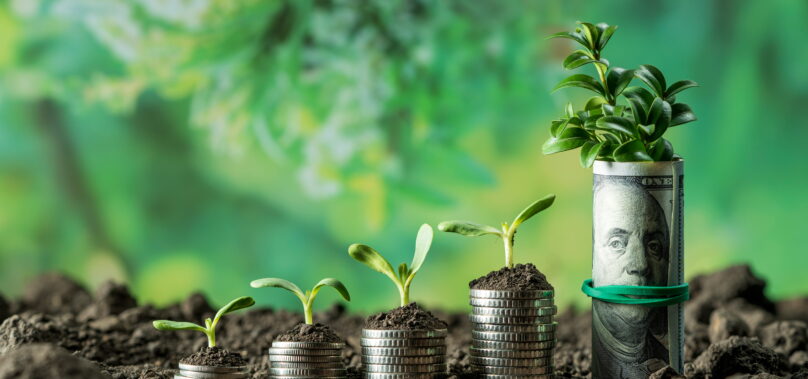 Financial Literacy Month: How Credit Unions Can Support The Journey to Financial Wellness