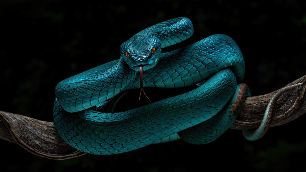 Crushing Serpents: Understanding Reptile Arguments in Litigation