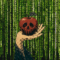 The Perils of Poisoned Data